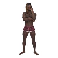 Male Power Sport Mesh Mini Short Burgundy